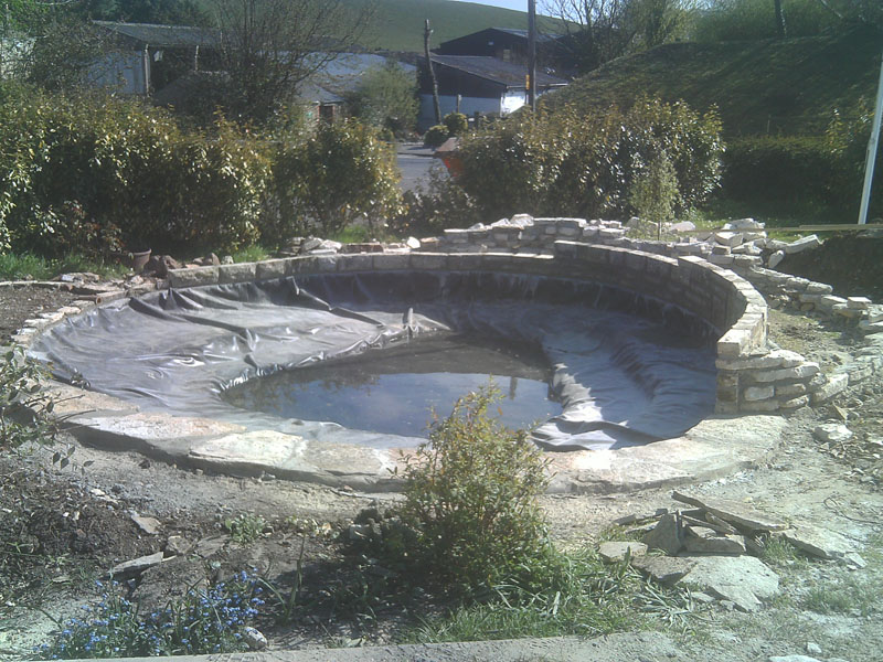  Pond Restoration